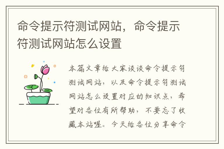 命令提示符测试网站，命令提示符测试网站怎么设置