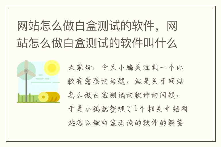 网站怎么做白盒测试的软件，网站怎么做白盒测试的软件叫什么