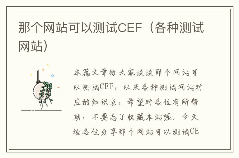 那个网站可以测试CEF（各种测试网站）