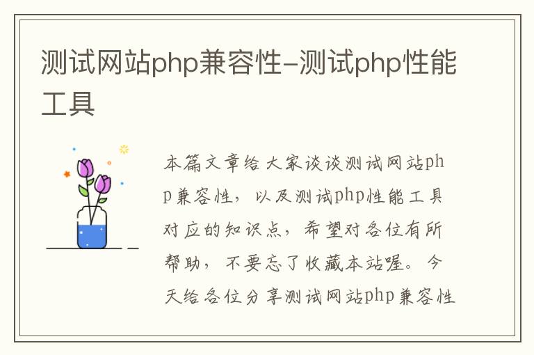 测试网站php兼容性-测试php性能工具