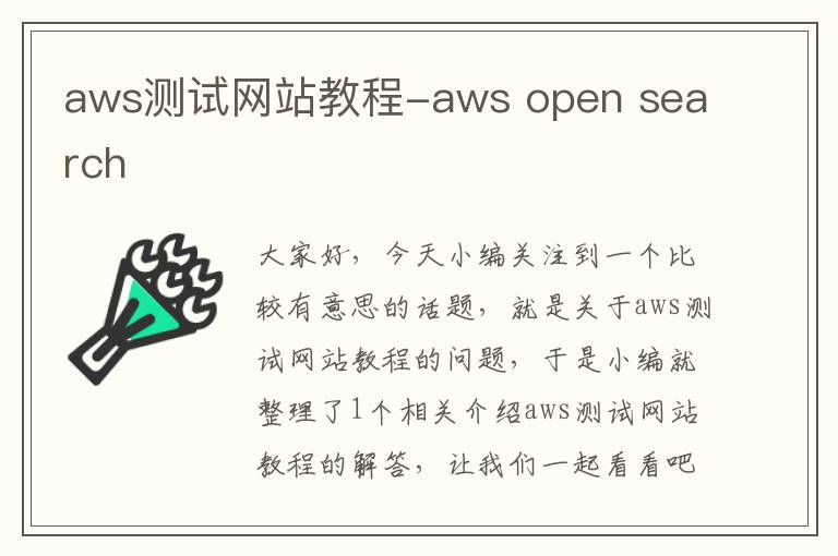 aws测试网站教程-aws open search