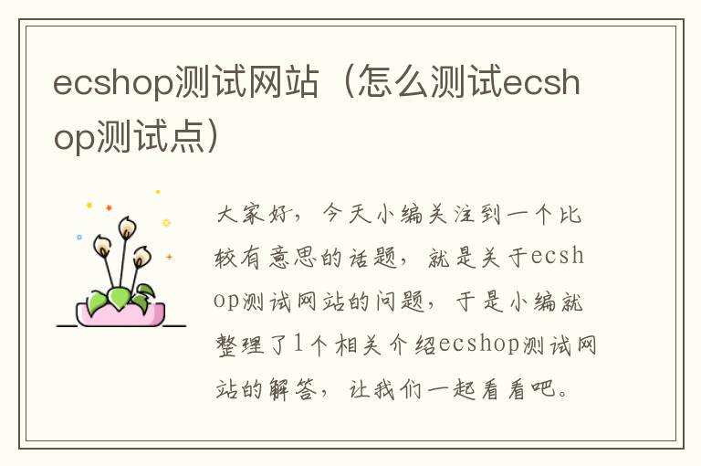 ecshop测试网站（怎么测试ecshop测试点）