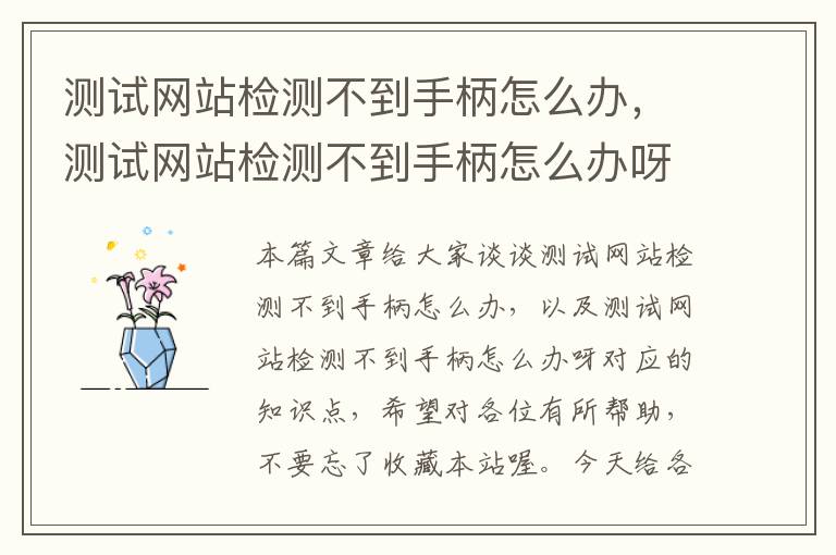 测试网站检测不到手柄怎么办，测试网站检测不到手柄怎么办呀