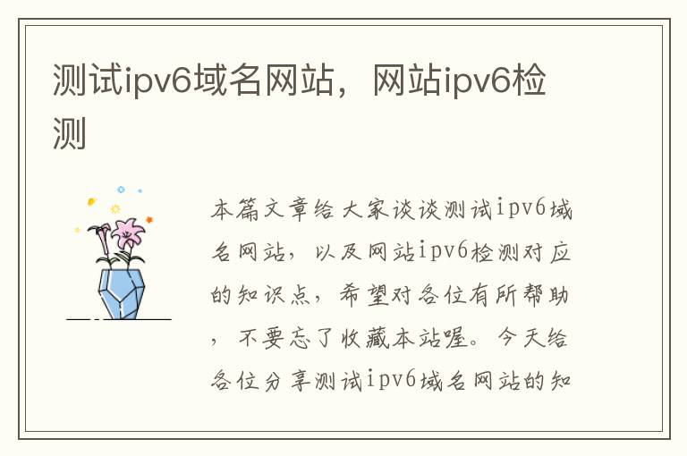 测试ipv6域名网站，网站ipv6检测