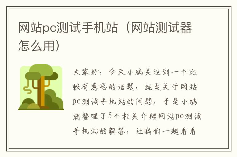 网站pc测试手机站（网站测试器怎么用）