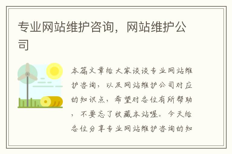 专业网站维护咨询，网站维护公司