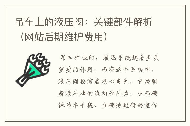 吊车上的液压阀：关键部件解析（网站后期维护费用）