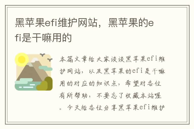 黑苹果efi维护网站，黑苹果的efi是干嘛用的