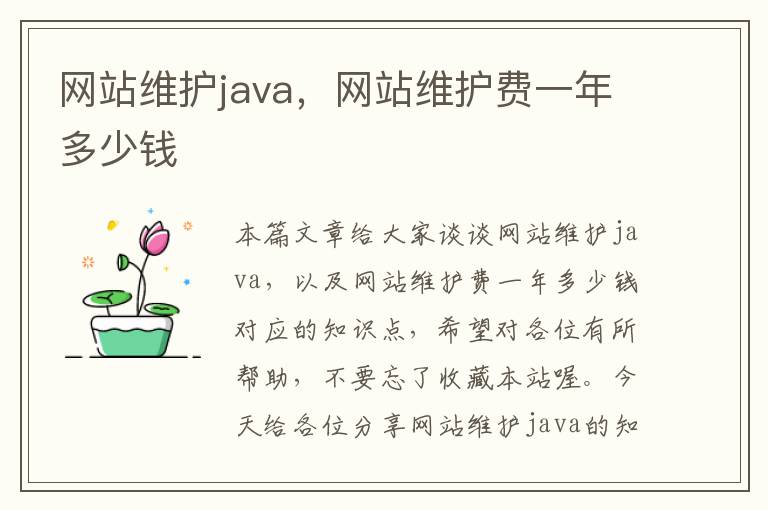 网站维护java，网站维护费一年多少钱