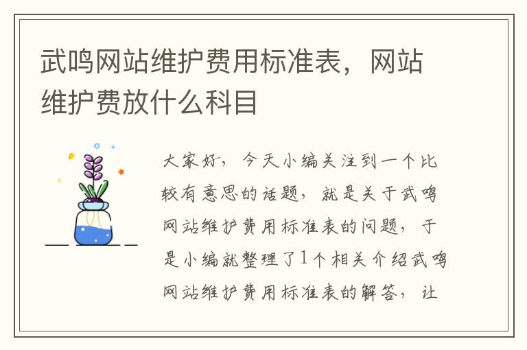 武鸣网站维护费用标准表，网站维护费放什么科目