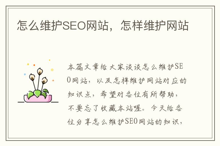 怎么维护SEO网站，怎样维护网站