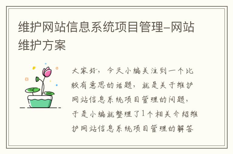 维护网站信息系统项目管理-网站维护方案