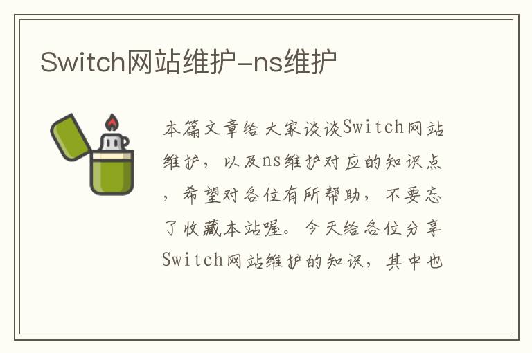 Switch网站维护-ns维护