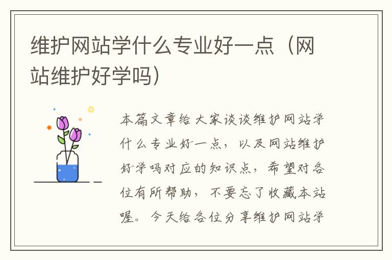 维护网站学什么专业好一点（网站维护好学吗）