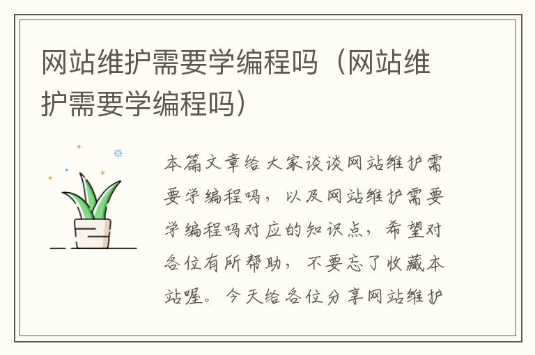 网站维护需要学编程吗（网站维护需要学编程吗）