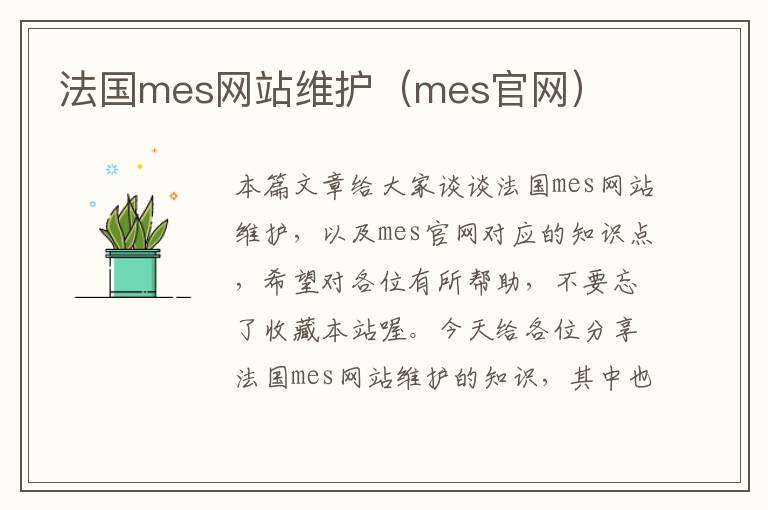 法国mes网站维护（mes官网）