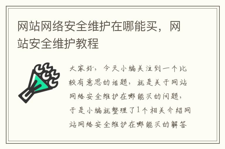 网站网络安全维护在哪能买，网站安全维护教程