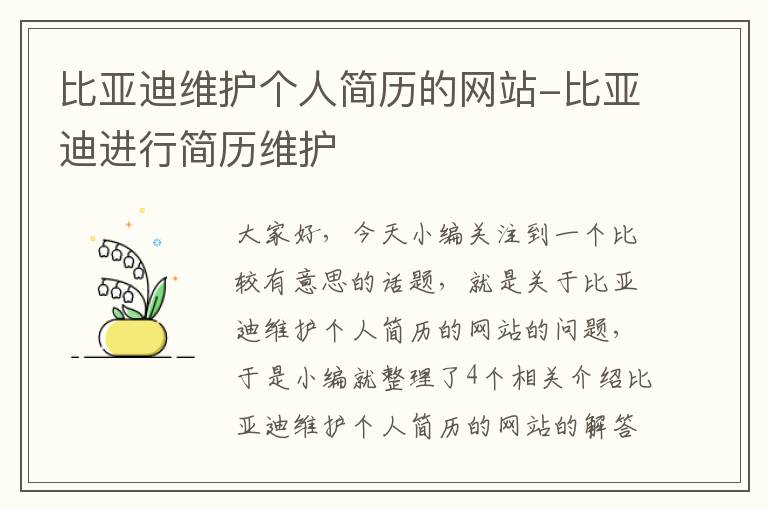 比亚迪维护个人简历的网站-比亚迪进行简历维护