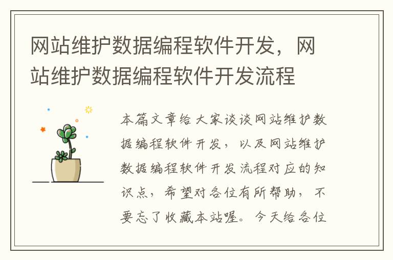 网站维护数据编程软件开发，网站维护数据编程软件开发流程