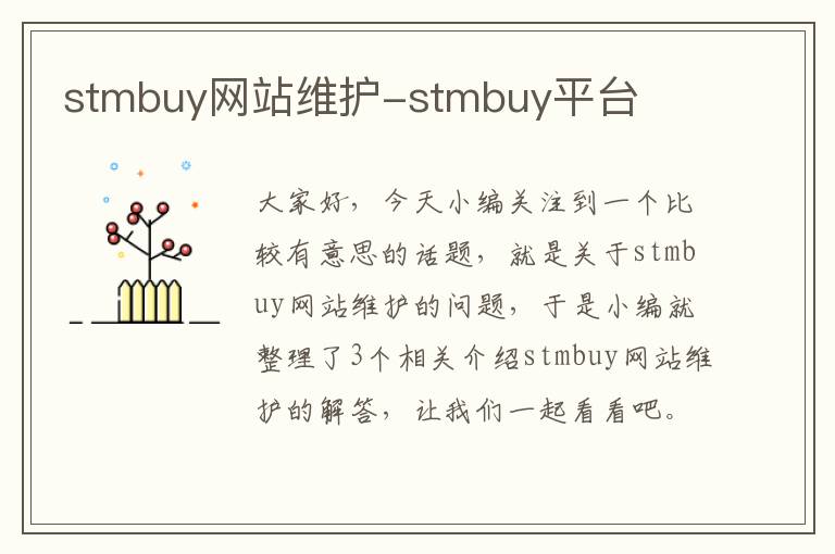 stmbuy网站维护-stmbuy平台