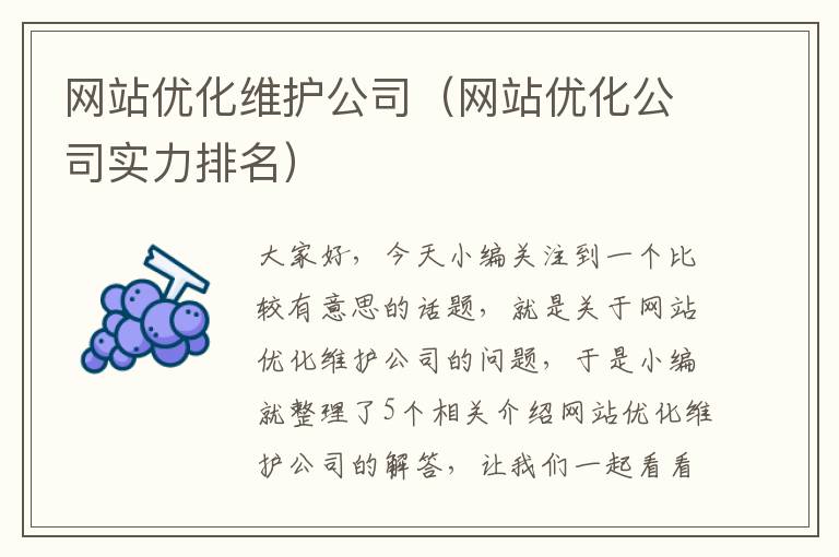 网站优化维护公司（网站优化公司实力排名）