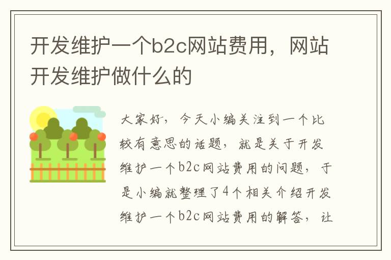 开发维护一个b2c网站费用，网站开发维护做什么的