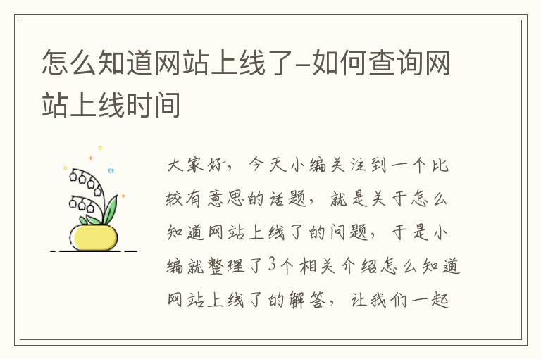 怎么知道网站上线了-如何查询网站上线时间