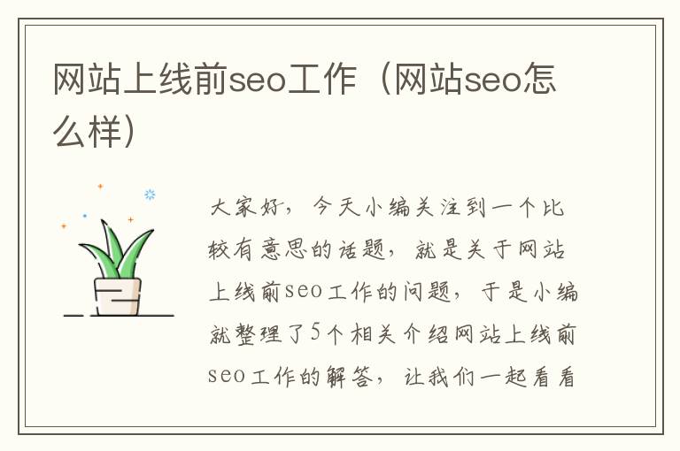 网站上线前seo工作（网站seo怎么样）