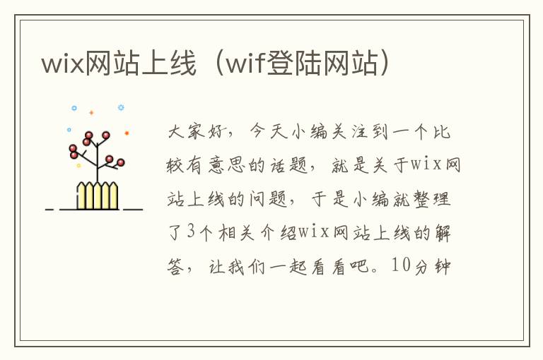 wix网站上线（wif登陆网站）