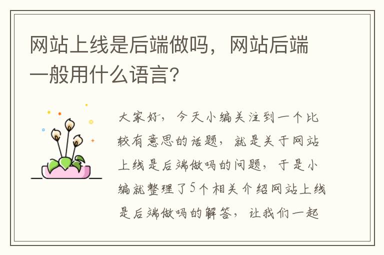 网站上线是后端做吗，网站后端一般用什么语言?