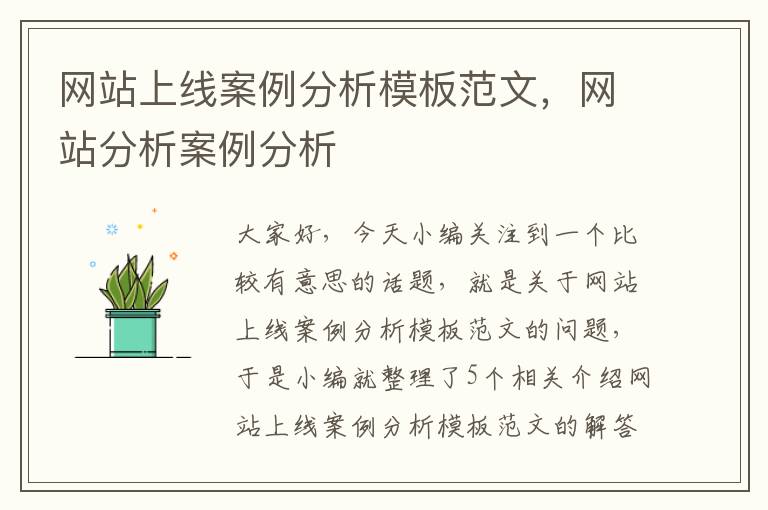 网站上线案例分析模板范文，网站分析案例分析