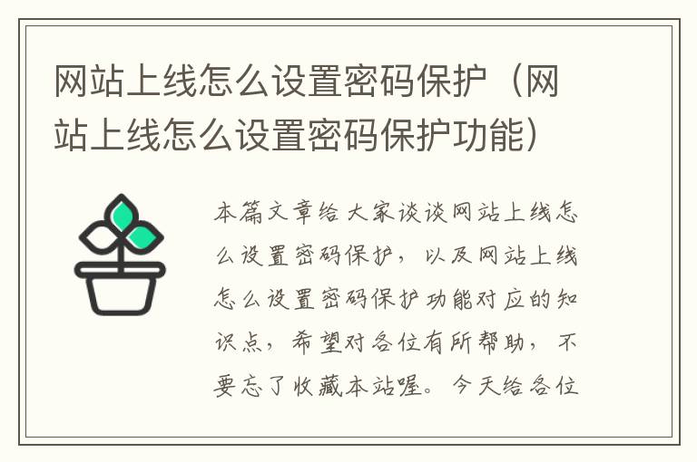 网站上线怎么设置密码保护（网站上线怎么设置密码保护功能）