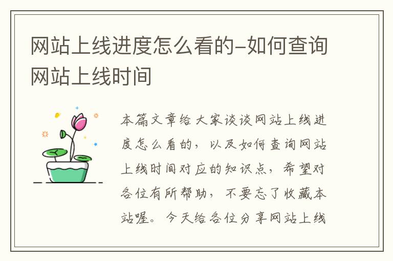 网站上线进度怎么看的-如何查询网站上线时间