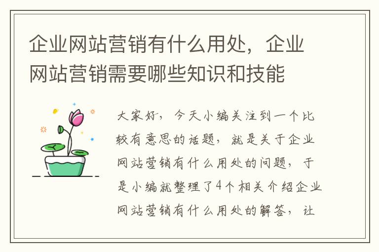 企业网站营销有什么用处，企业网站营销需要哪些知识和技能