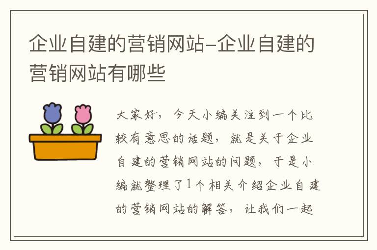 企业自建的营销网站-企业自建的营销网站有哪些