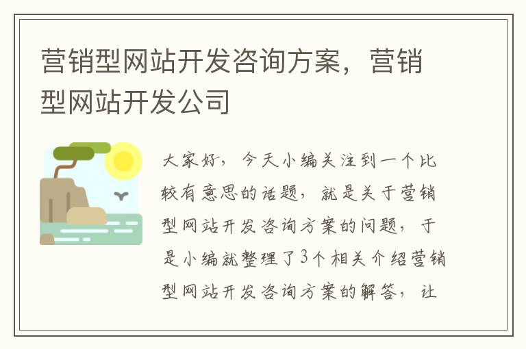 营销型网站开发咨询方案，营销型网站开发公司