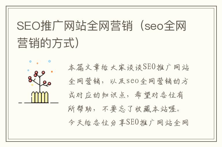 SEO推广网站全网营销（seo全网营销的方式）