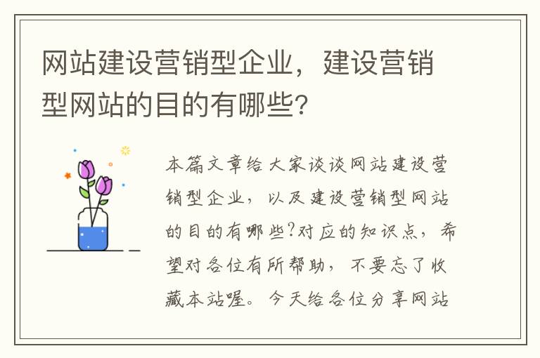 网站建设营销型企业，建设营销型网站的目的有哪些?