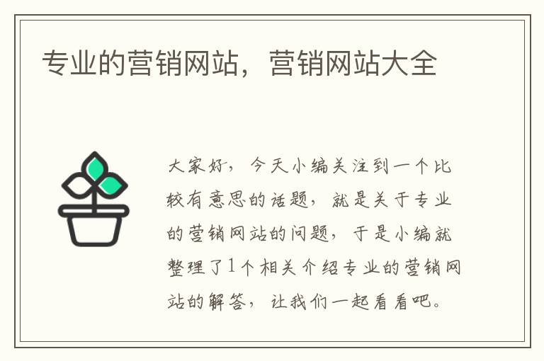 专业的营销网站，营销网站大全