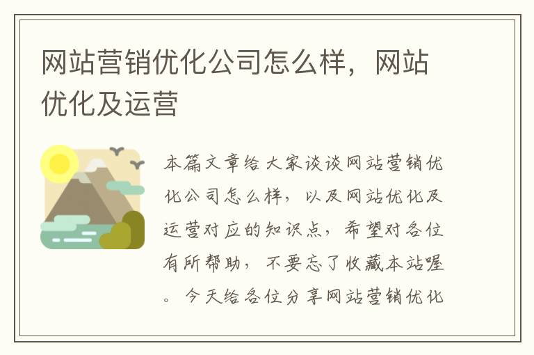 网站营销优化公司怎么样，网站优化及运营