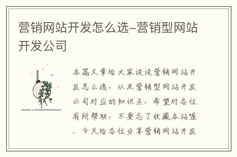 营销网站开发怎么选-营销型网站开发公司