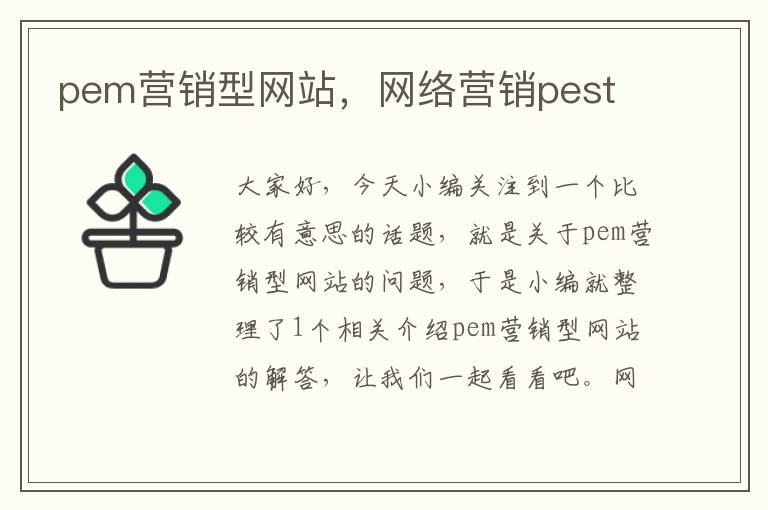 pem营销型网站，网络营销pest