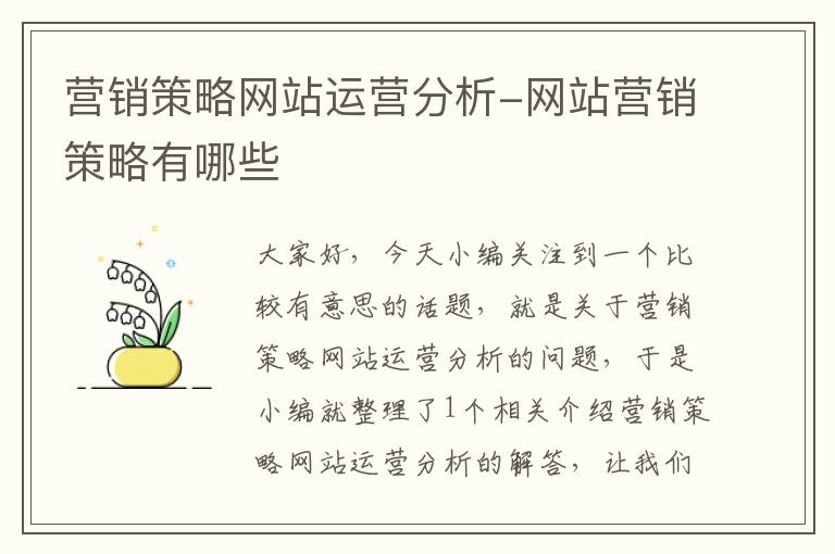 营销策略网站运营分析-网站营销策略有哪些