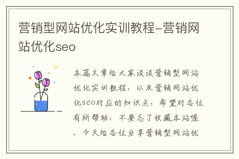 营销型网站优化实训教程-营销网站优化seo