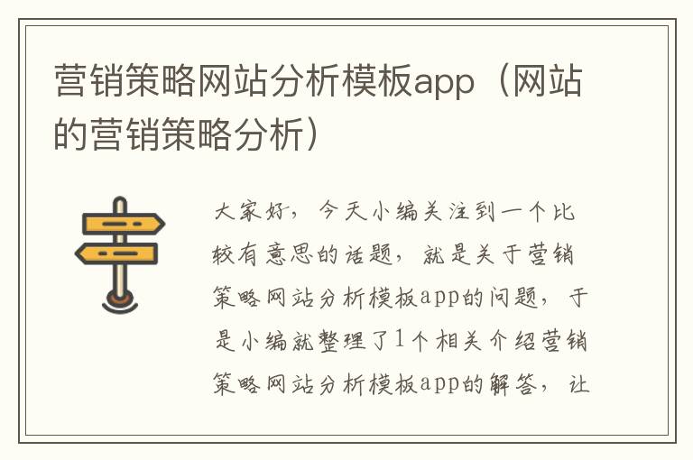 营销策略网站分析模板app（网站的营销策略分析）