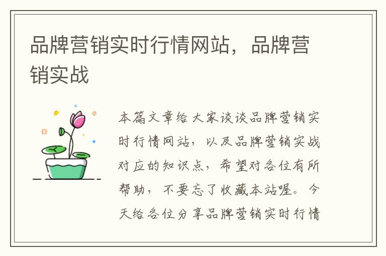 品牌营销实时行情网站，品牌营销实战