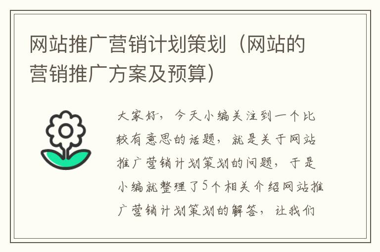 网站推广营销计划策划（网站的营销推广方案及预算）