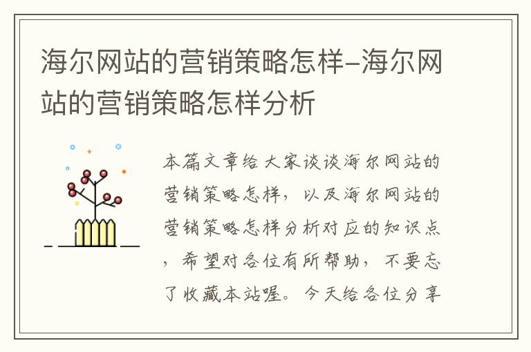 海尔网站的营销策略怎样-海尔网站的营销策略怎样分析