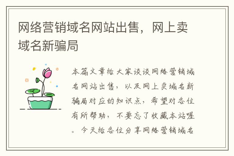 网络营销域名网站出售，网上卖域名新骗局