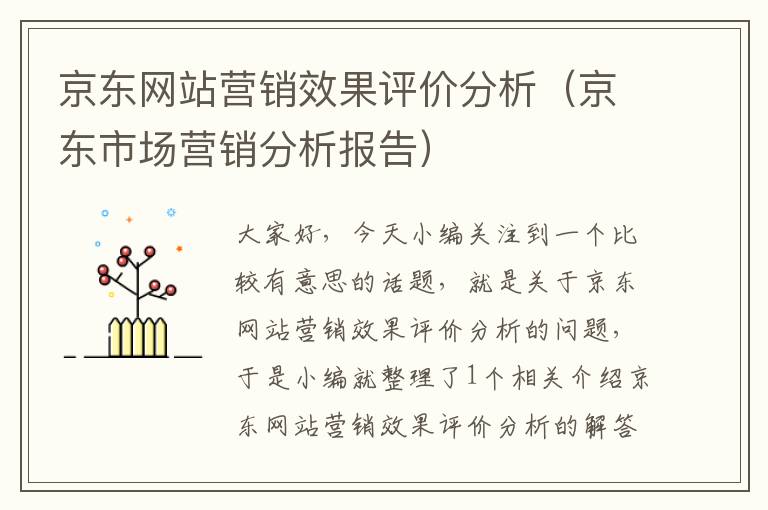 京东网站营销效果评价分析（京东市场营销分析报告）